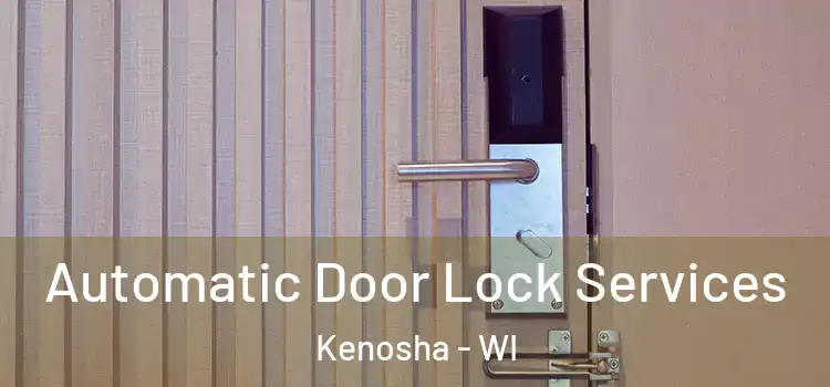 Automatic Door Lock Services Kenosha - WI
