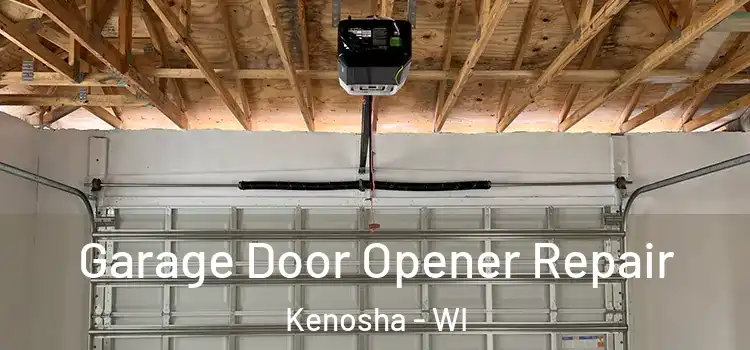  Garage Door Opener Repair Kenosha - WI