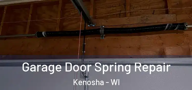  Garage Door Spring Repair Kenosha - WI