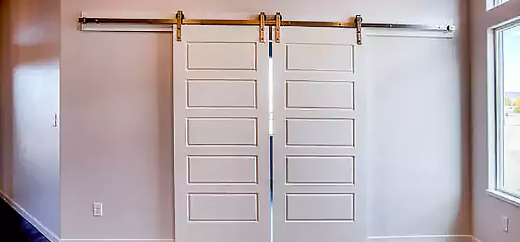 Glass Barn Door with Installation Hardware Kit Kenosha