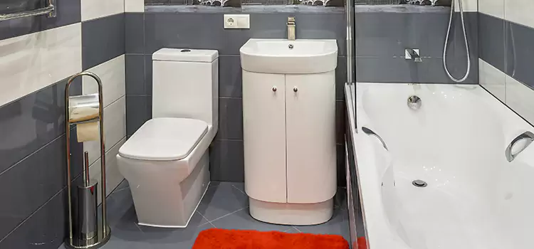 Hansgrohe Shaving Mirror Kenosha
