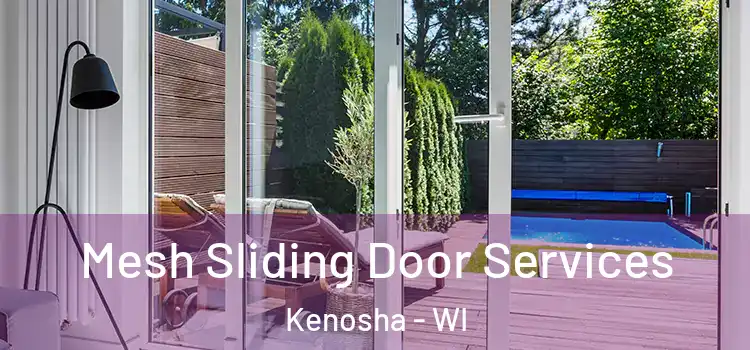 Mesh Sliding Door Services Kenosha - WI
