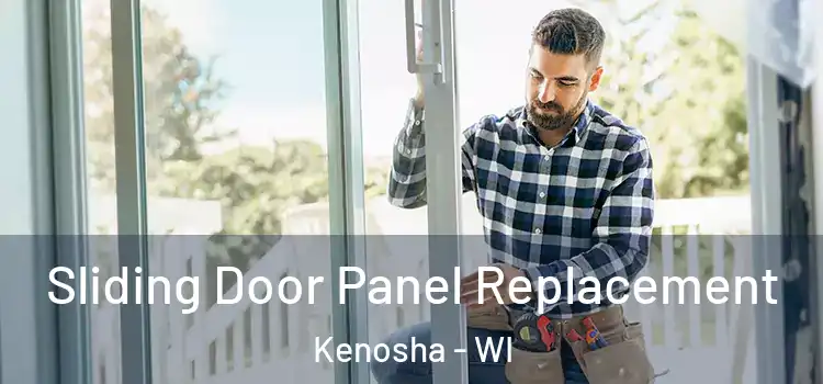  Sliding Door Panel Replacement Kenosha - WI