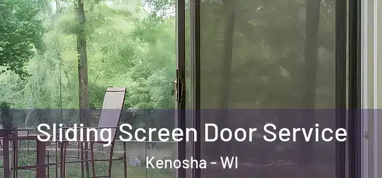 Sliding Screen Door Service Kenosha - WI